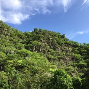 Meet your Posher, Javier